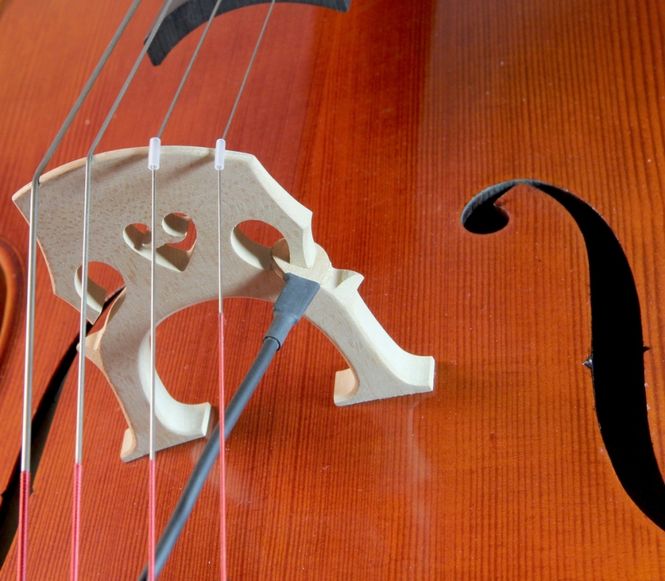 Hovedbilde KNA VC-1 Pickup (Cello)