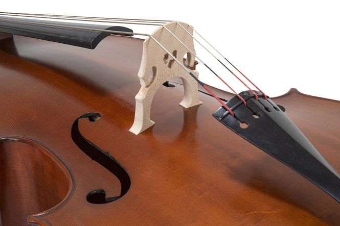 Hovedbilde Gewa Premium All-Solid (Maestro-Series) (3/4)