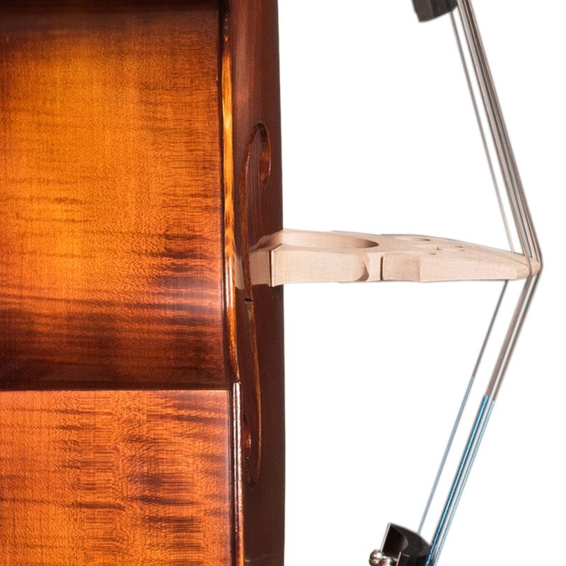 Hora Advanced Carved D'Bass Gamba 3/4 - Matte/Satin