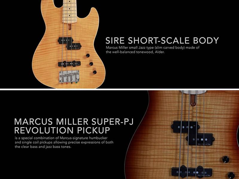 Sire Basses U5 Series Marcus Miller (U5 A4/TS)