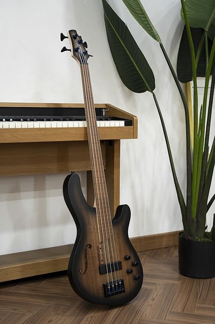 Hovedbilde Cort B4FL MHPZ Fretless