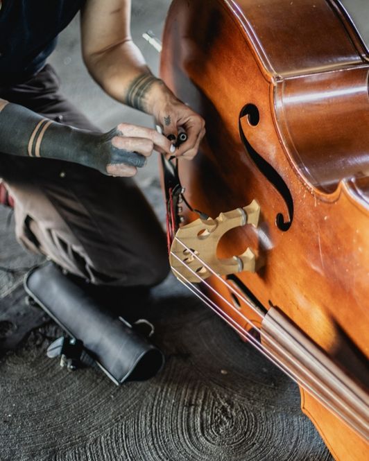 Hovedbilde KNA DB-1 Pickup (Double bass)