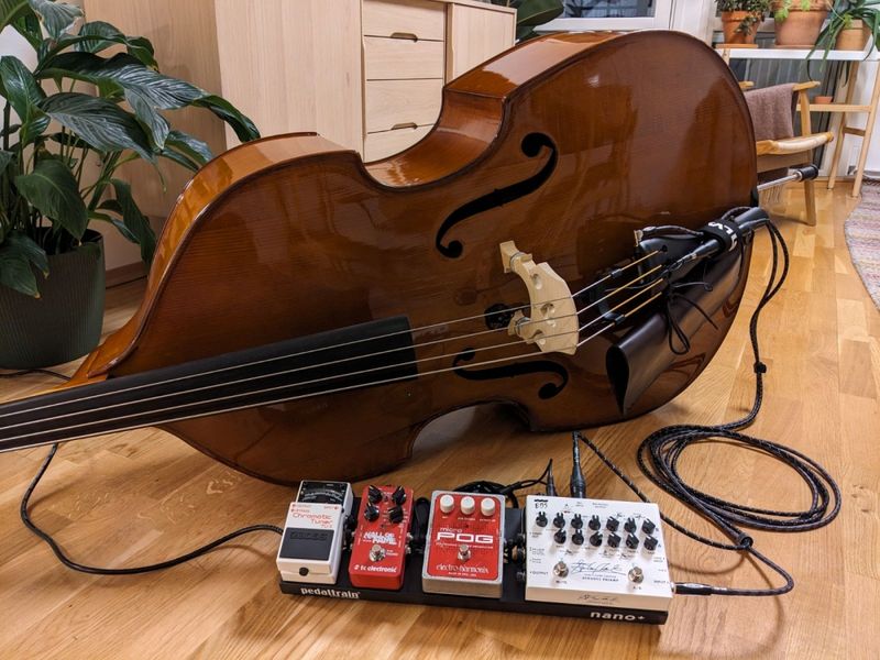 EBS Stanley Clarke Signature Acoustic Preamp